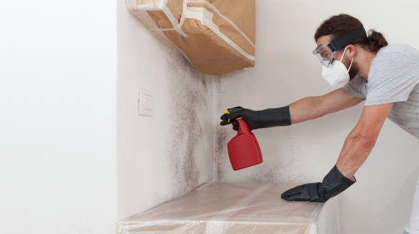 Professional Commercial Mold Remediation technician working in Central City, IL