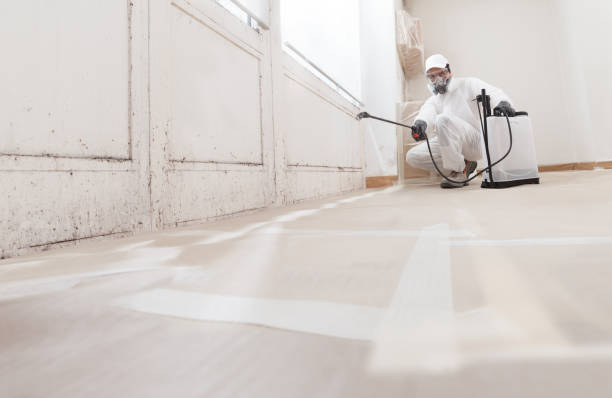 24/7 Emergency Commercial Mold Remediation experts in Central City, IL